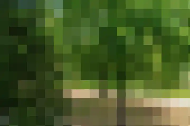 Oeverloper 1 Nieuwegein thumbnail 37