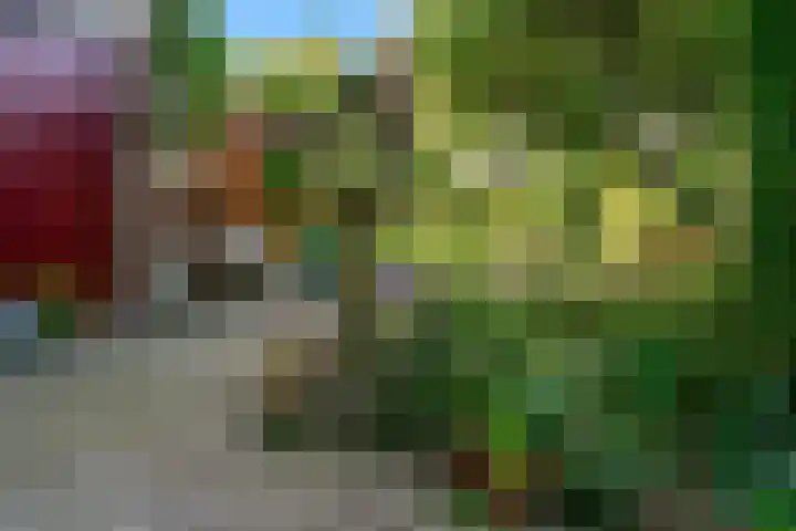 Oeverloper 1 Nieuwegein thumbnail 40