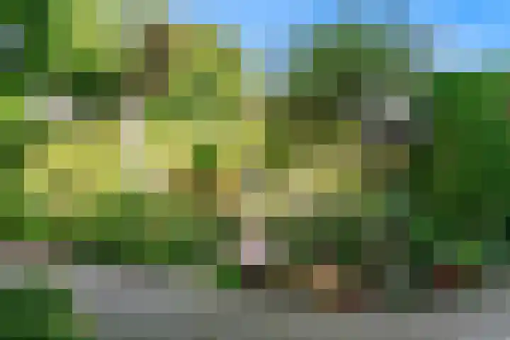Oeverloper 1 Nieuwegein thumbnail 43