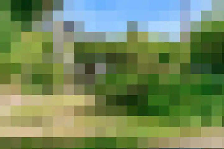 Oeverloper 1 Nieuwegein thumbnail 44