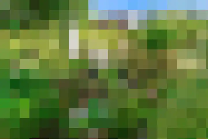 Oeverloper 1 Nieuwegein thumbnail 45