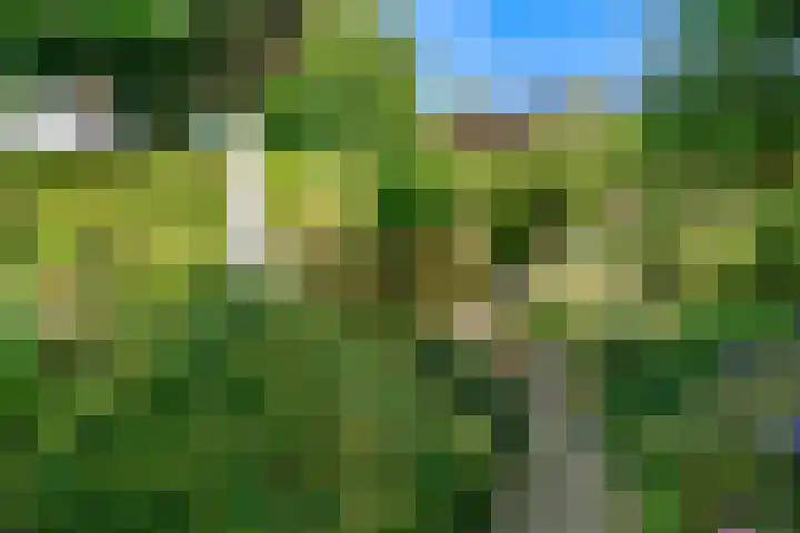 Oeverloper 1 Nieuwegein thumbnail 46