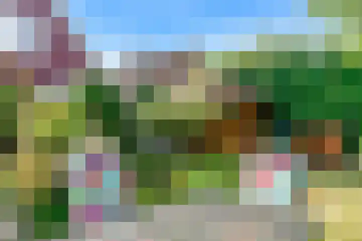 Oeverloper 1 Nieuwegein thumbnail 47
