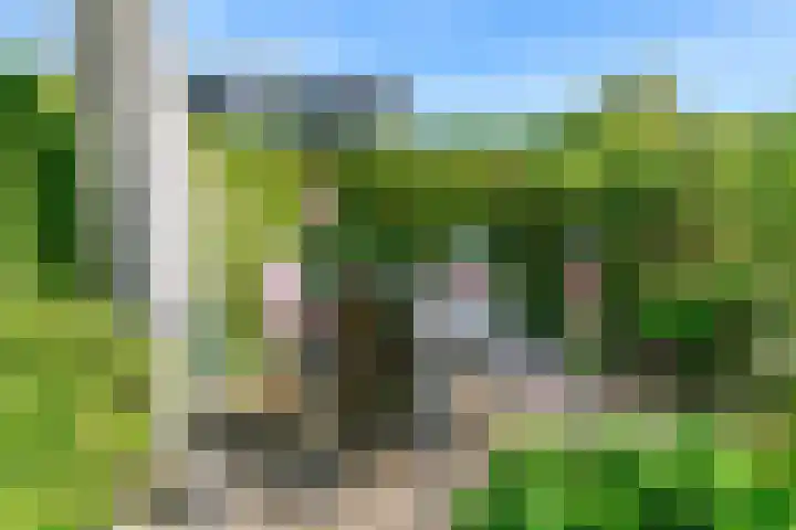 Oeverloper 1 Nieuwegein thumbnail 48
