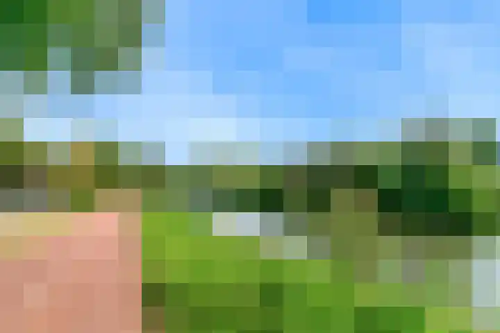 Oeverloper 1 Nieuwegein thumbnail 50