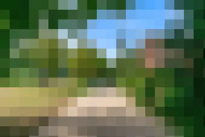 Oeverloper 1 Nieuwegein thumbnail 51