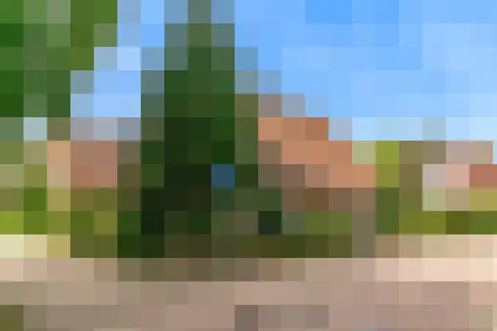 Oeverloper 1 Nieuwegein thumbnail 53