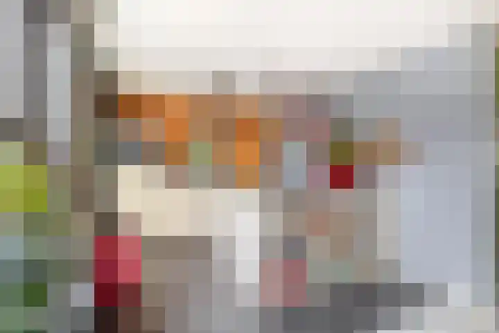 Oeverloper 19 Lemmer thumbnail 13