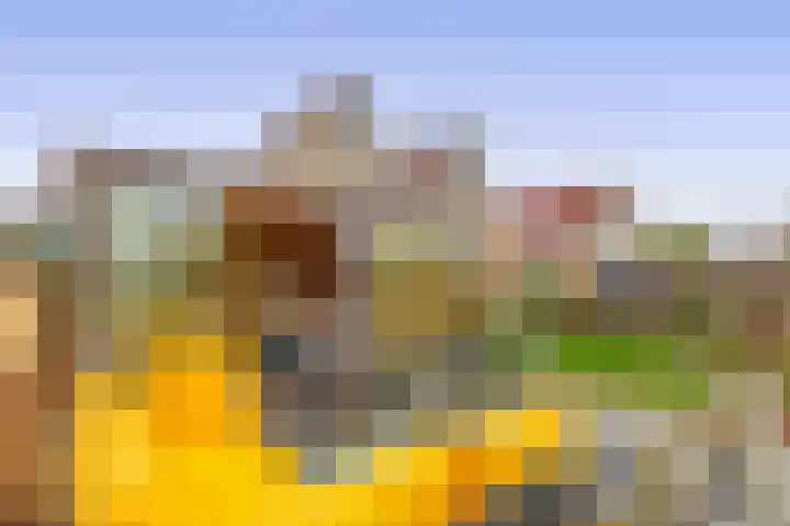 Oeverloper 19 Lemmer thumbnail 20