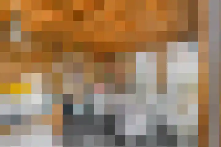 Oeverloper 19 Lemmer thumbnail 22