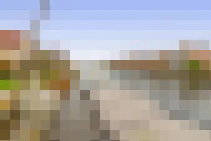 Oeverloper 19 Lemmer thumbnail 25