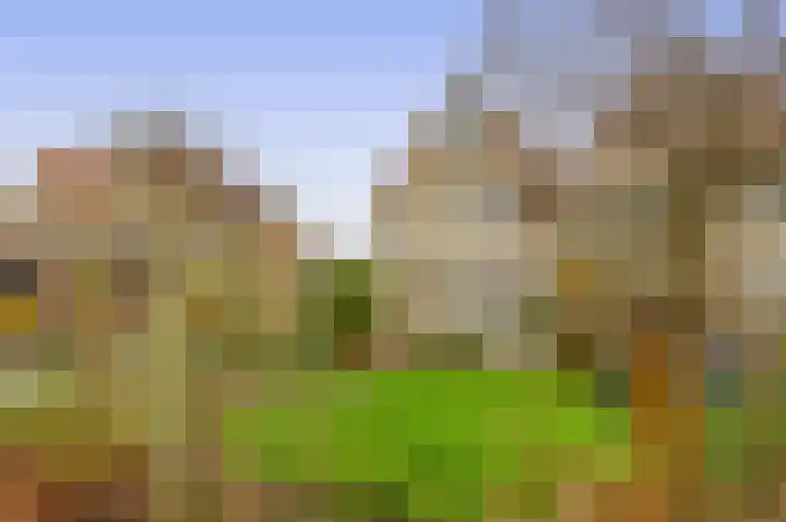 Oeverloper 19 Lemmer thumbnail 27