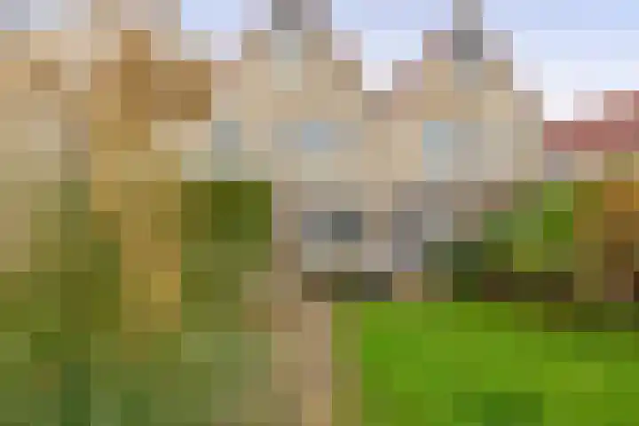 Oeverloper 19 Lemmer thumbnail 28