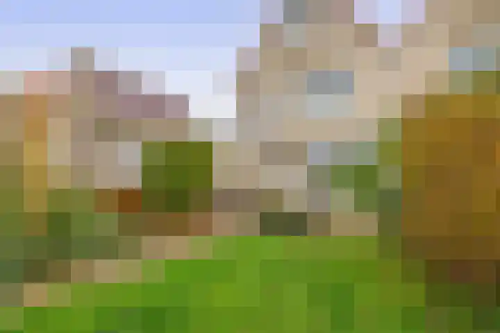 Oeverloper 19 Lemmer thumbnail 29