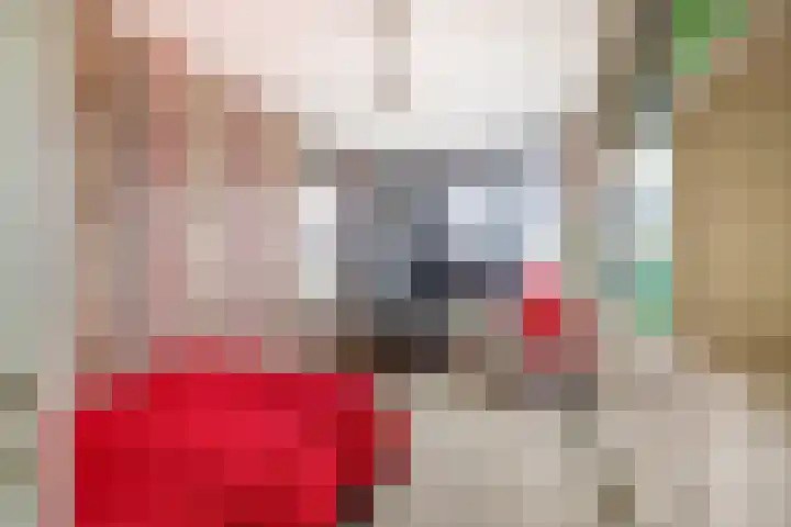 Oeverloper 19 Lemmer thumbnail 36