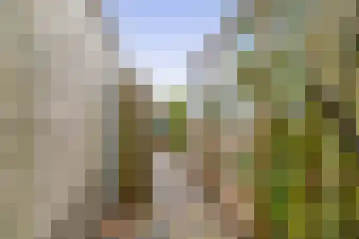 Oeverloper 19 Lemmer thumbnail 47