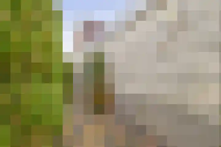 Oeverloper 19 Lemmer thumbnail 48