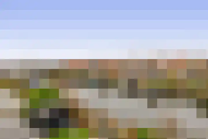 Oeverloper 19 Lemmer thumbnail 49