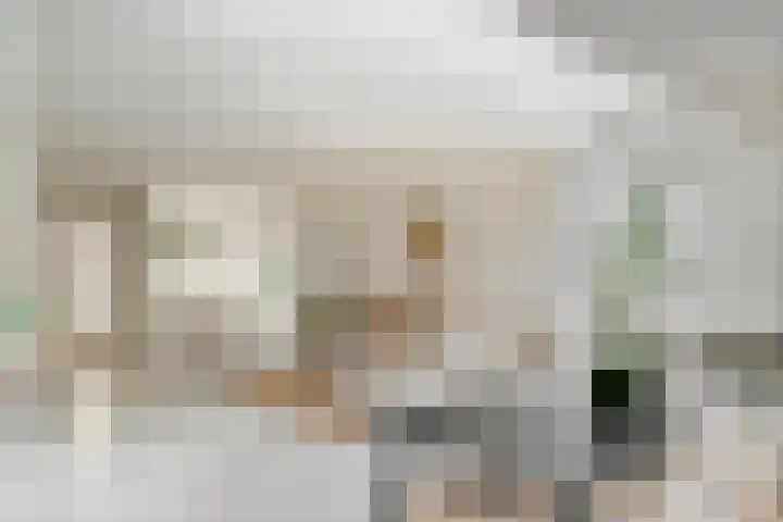 Oeverloper 5 Nieuwegein thumbnail 11