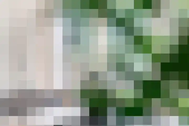 Oeverloper 5 Nieuwegein thumbnail 12