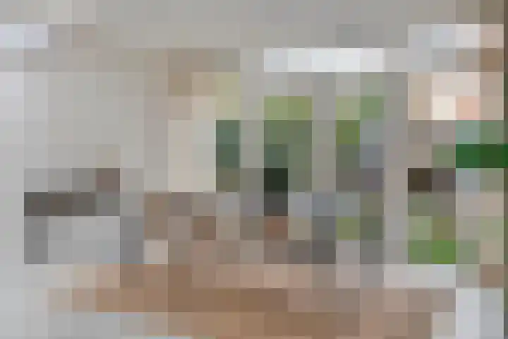 Oeverloper 5 Nieuwegein thumbnail 13