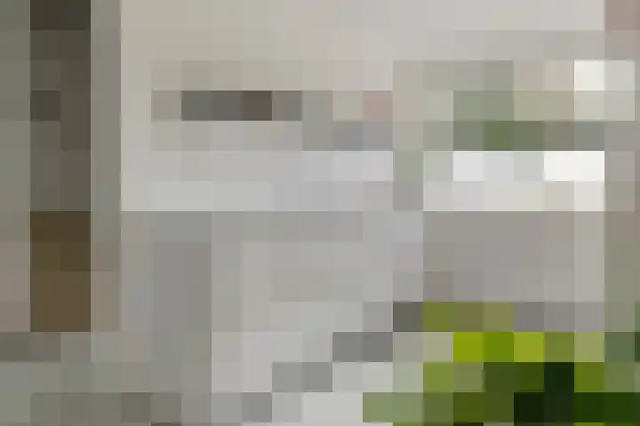 Oeverloper 5 Nieuwegein thumbnail 22