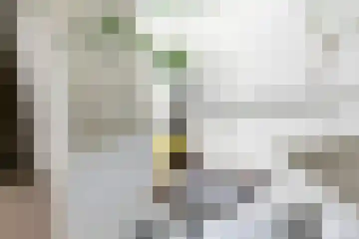 Oeverloper 5 Nieuwegein thumbnail 23