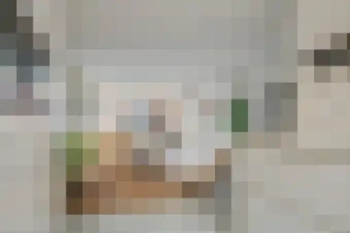 Oeverloper 5 Nieuwegein thumbnail 24