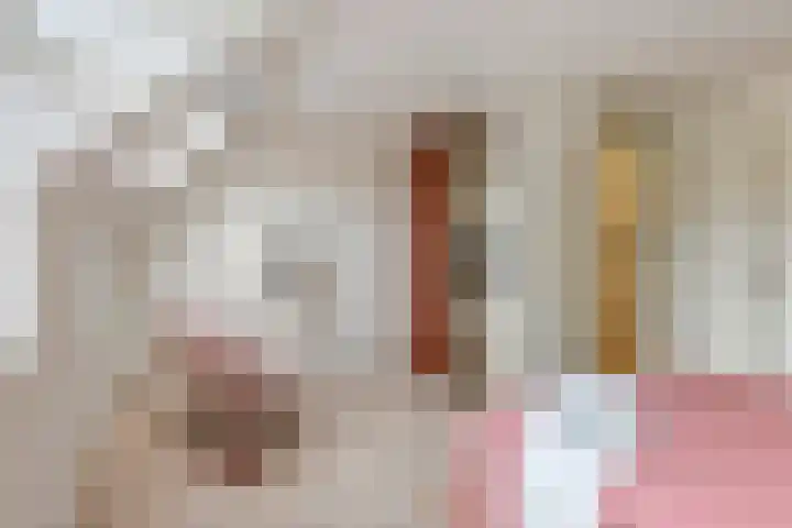 Oeverloper 5 Nieuwegein thumbnail 26