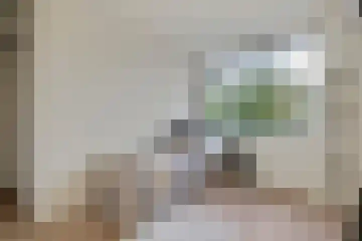 Oeverloper 5 Nieuwegein thumbnail 31