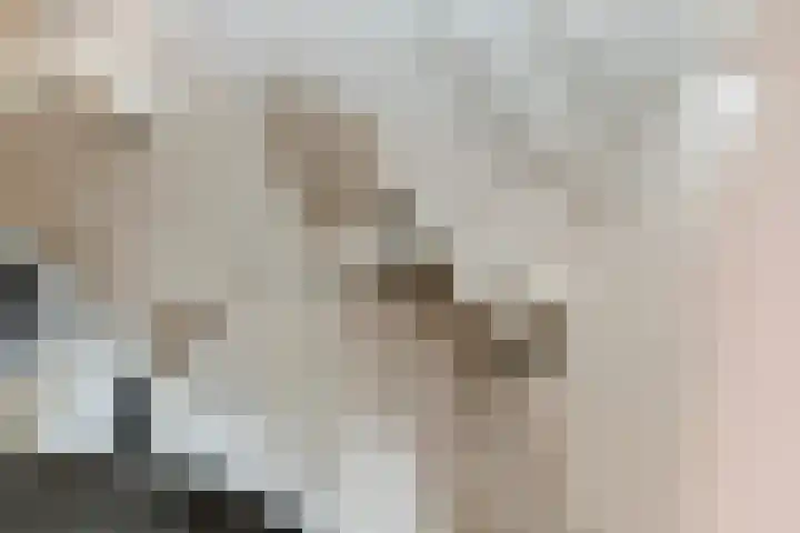 Oeverloper 5 Nieuwegein thumbnail 38