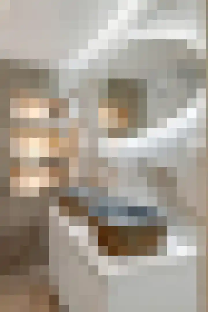 Oeverloper 5 Nieuwegein thumbnail 39