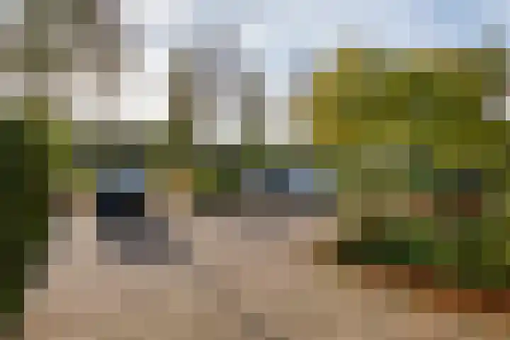 Oeverloper 5 Nieuwegein thumbnail 49