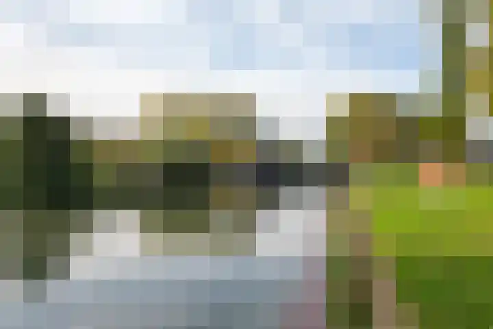 Oeverloper 5 Nieuwegein thumbnail 51