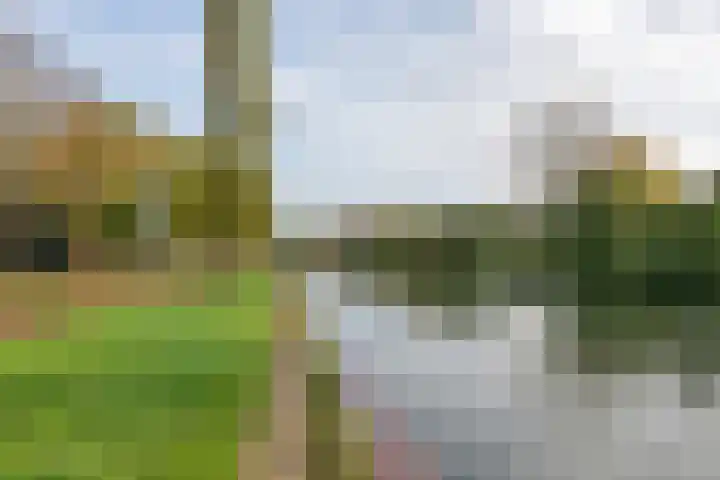 Oeverloper 5 Nieuwegein thumbnail 52