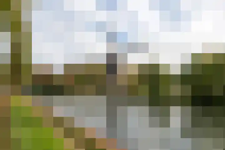 Oeverloper 5 Nieuwegein thumbnail 53
