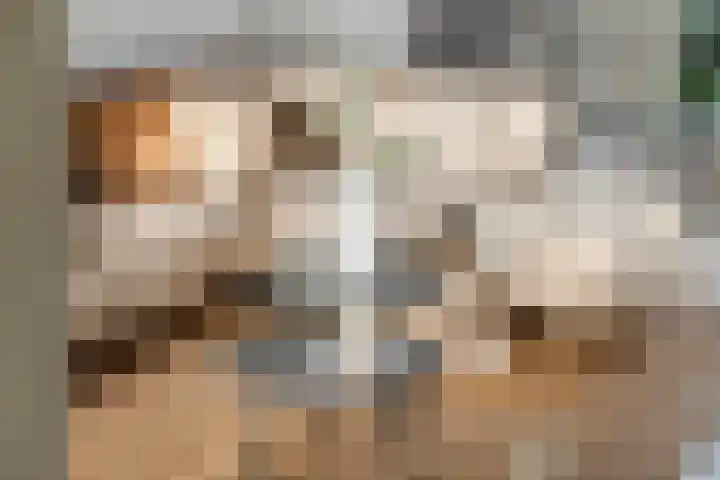 Oeverloper 5 Nieuwegein thumbnail 9
