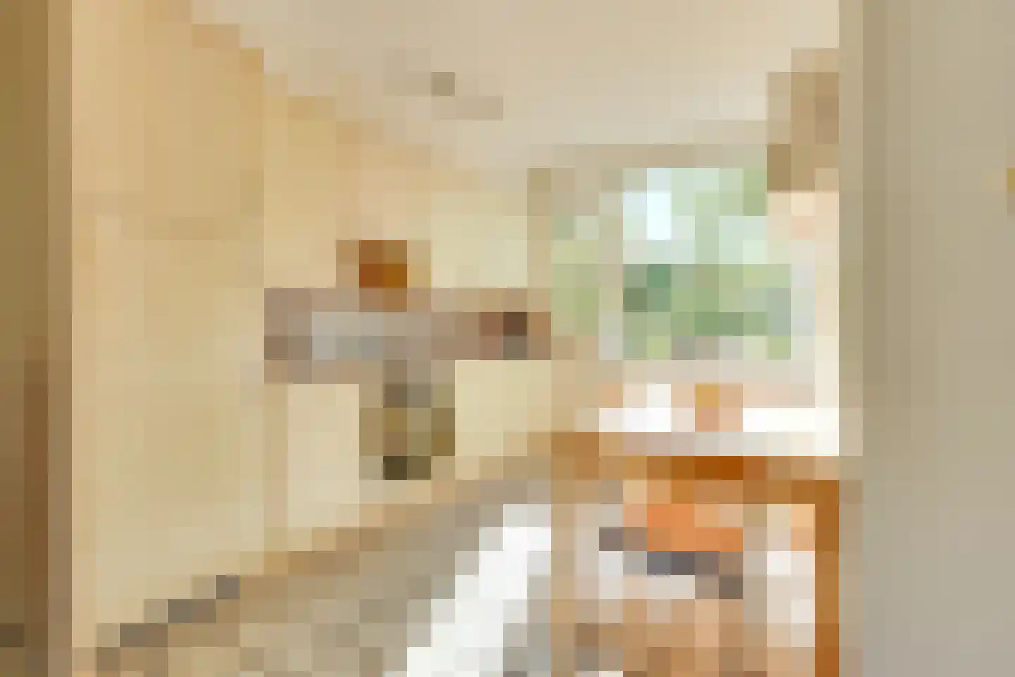Oeverloper 6 Nieuwegein thumbnail 12