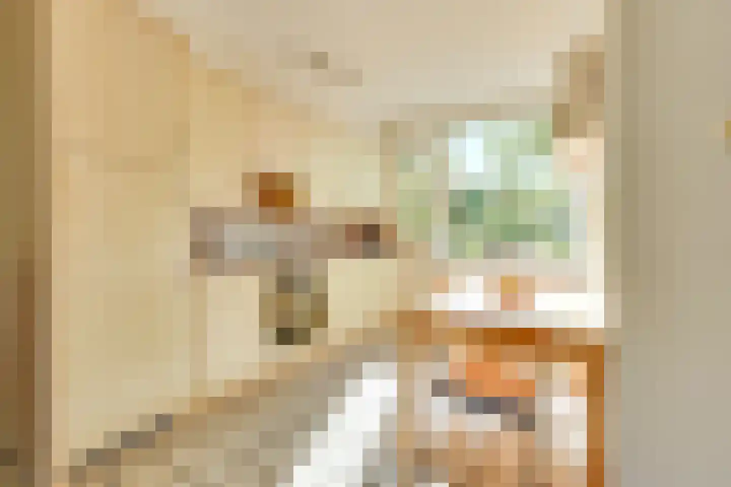 Oeverloper 6 Nieuwegein thumbnail 12