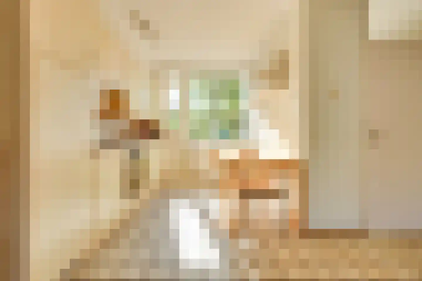 Oeverloper 6 Nieuwegein thumbnail 13