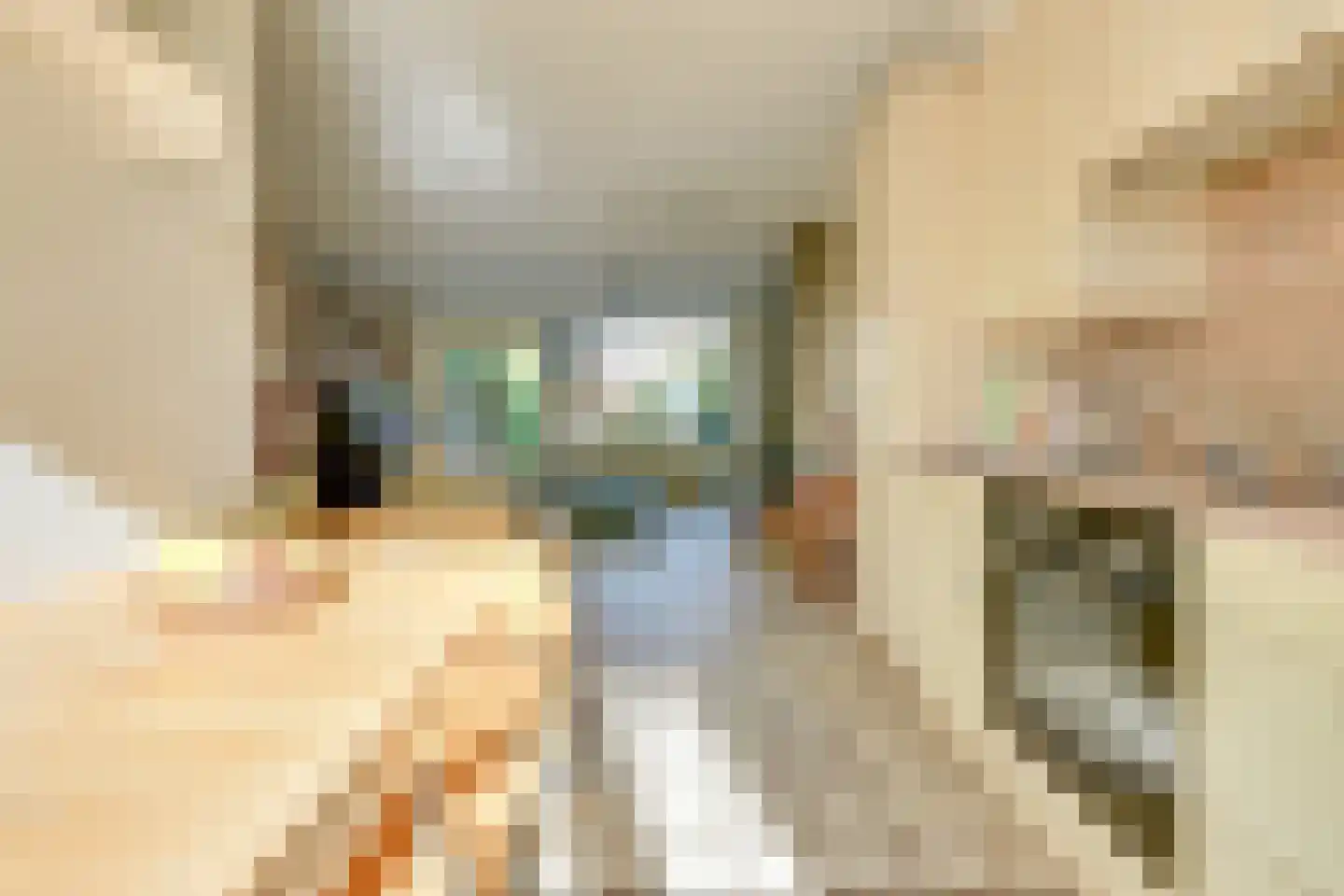 Oeverloper 6 Nieuwegein thumbnail 18