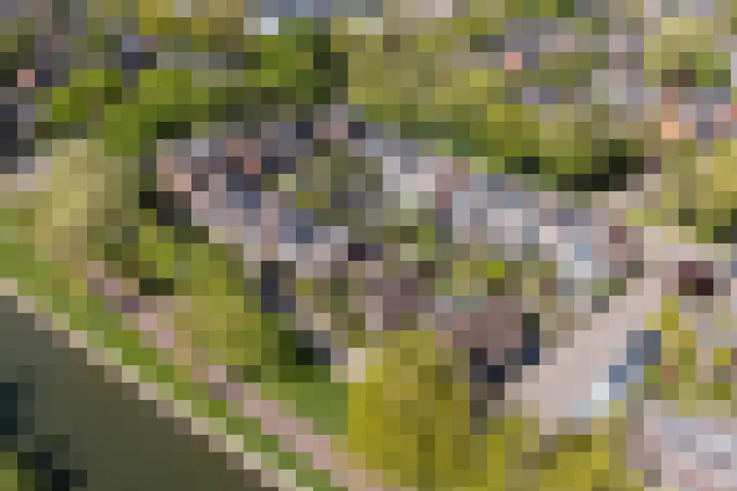 Oeverloper 6 Nieuwegein thumbnail 47