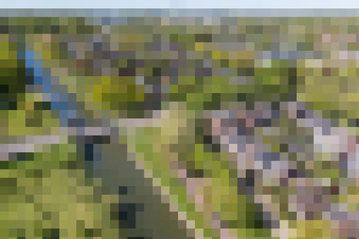 Oeverloper 6 Nieuwegein thumbnail 50