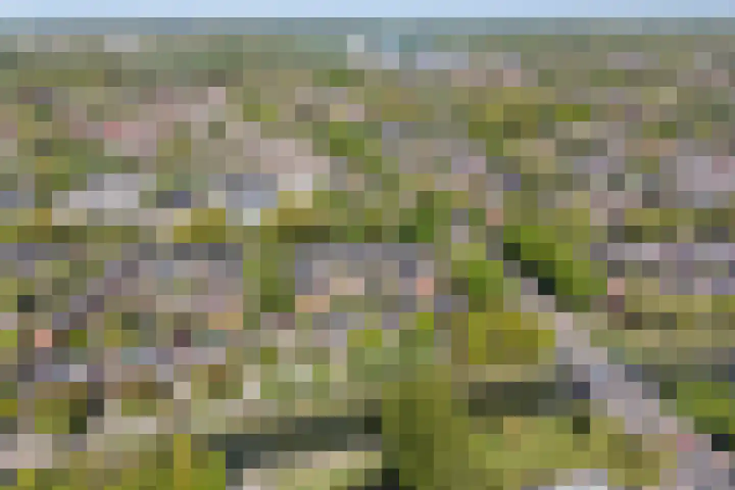 Oeverloper 6 Nieuwegein thumbnail 52