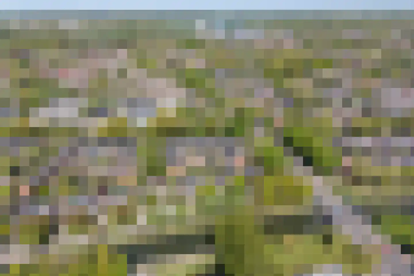 Oeverloper 6 Nieuwegein thumbnail 52