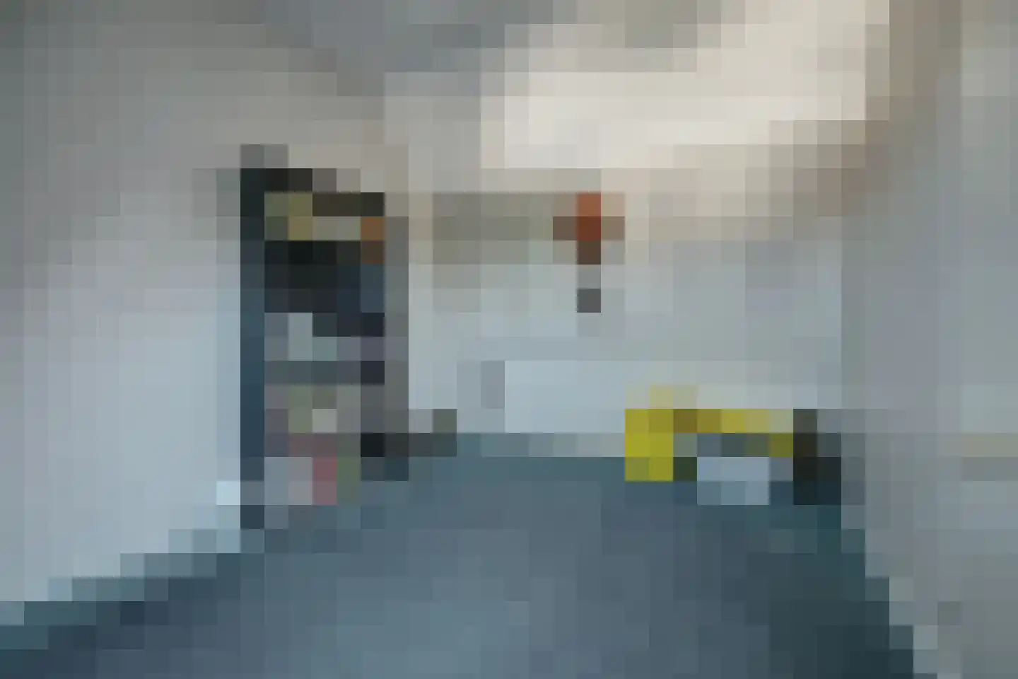 Oeverloperstraat 22 Heinkenszand thumbnail 22