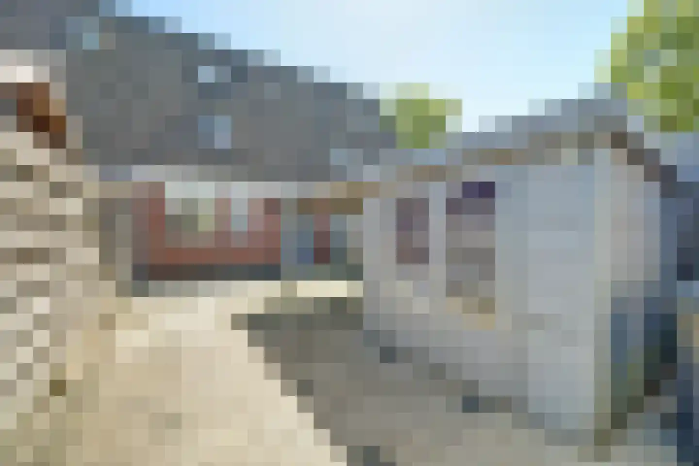Oeverloperstraat 22 Heinkenszand thumbnail 27