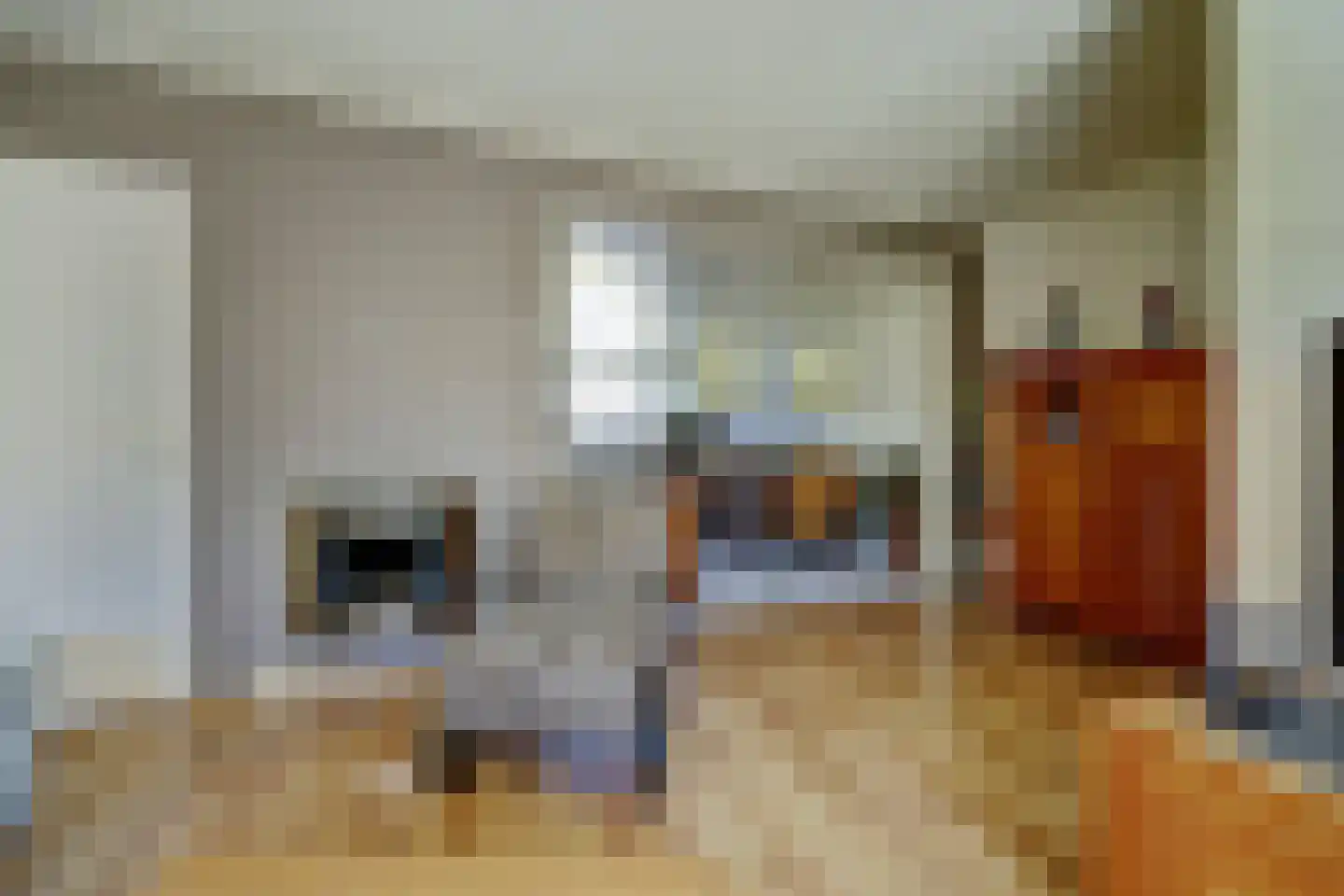 Oeverloperstraat 22 Heinkenszand thumbnail 5
