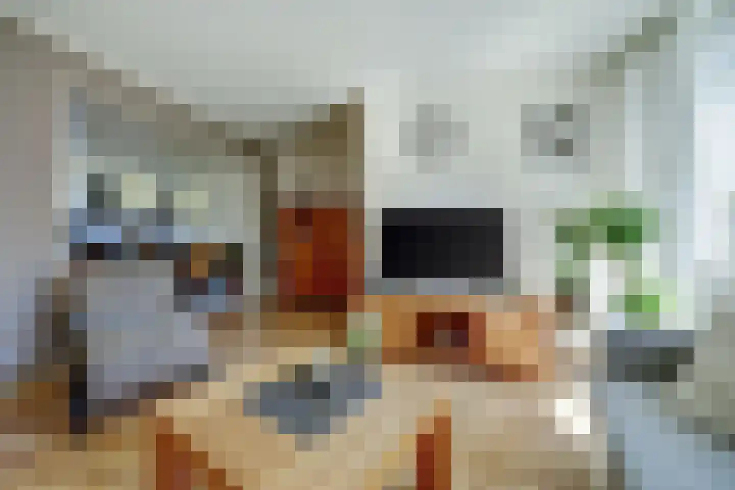 Oeverloperstraat 22 Heinkenszand thumbnail 6