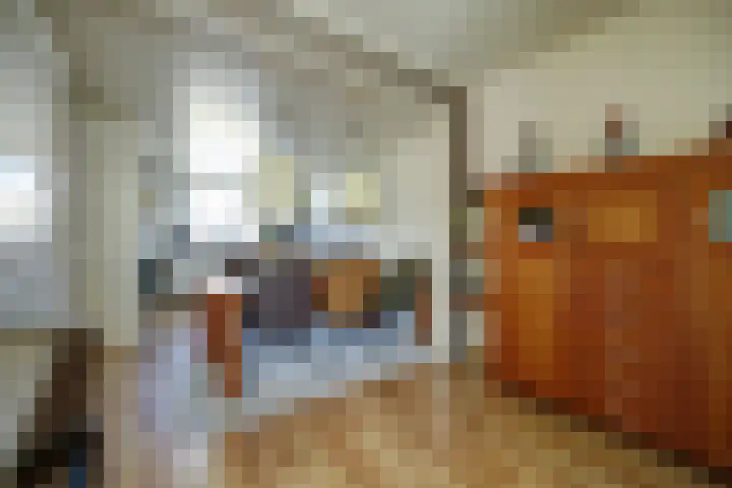 Oeverloperstraat 22 Heinkenszand thumbnail 7